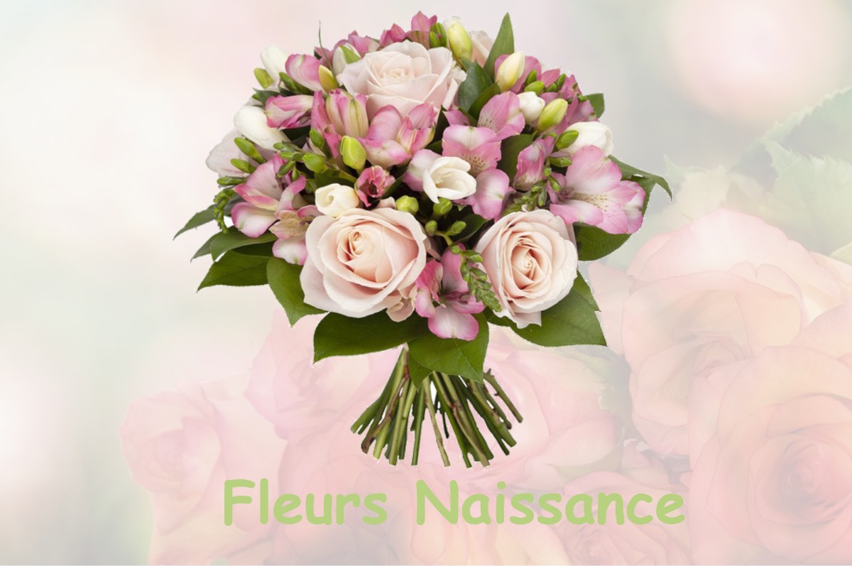 fleurs naissance FOURCHAMBAULT