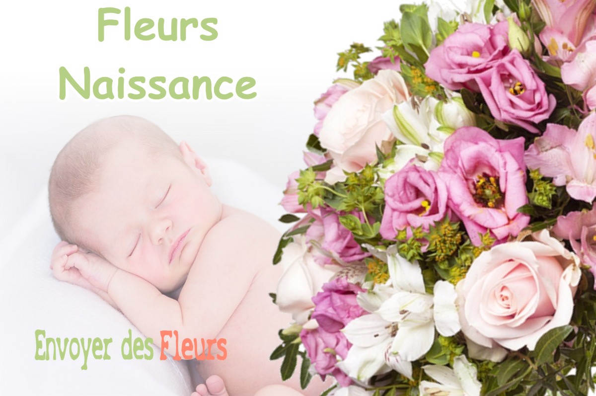 lIVRAISON FLEURS NAISSANCE à FOURCHAMBAULT